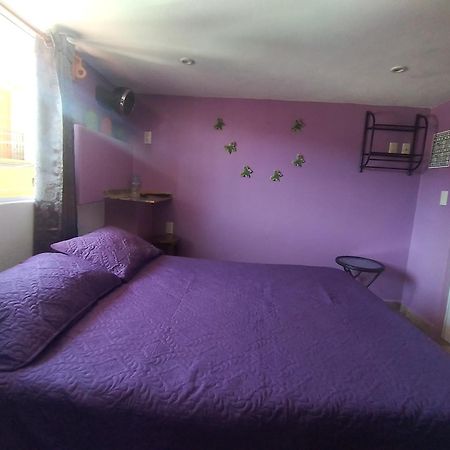 Hospedaje Casa Verde Tepoztlán Kültér fotó